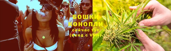 мдпв Пересвет