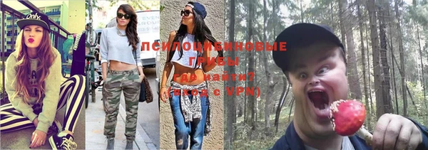 дурь Осташков