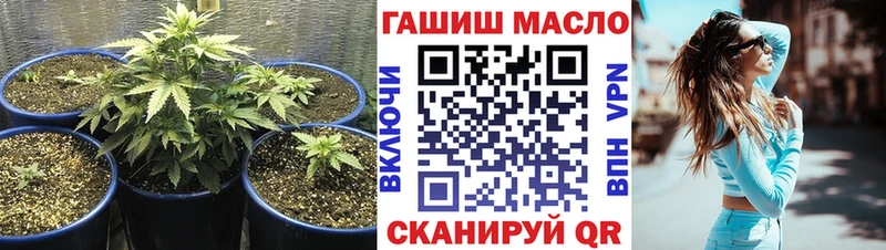 Дистиллят ТГК концентрат  сколько стоит  Олонец 