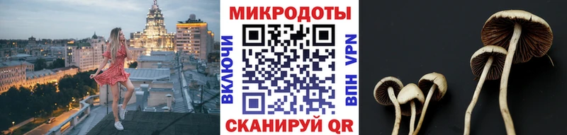 Галлюциногенные грибы MAGIC MUSHROOMS купить сайты Олонец