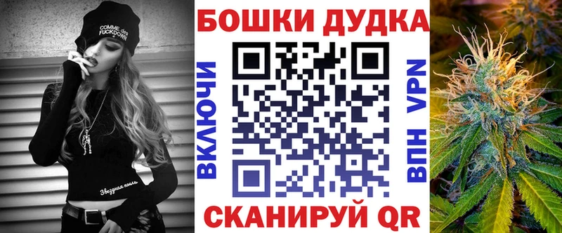 купить наркоту  Олонец  Каннабис планчик 